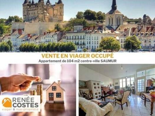 Appartement en viager occupé Bouquet 20 750 € 4 pièces 1 chambre 108 m² RDC/4 Centre Ville-Fenet-Petit Puy Saumur 49400