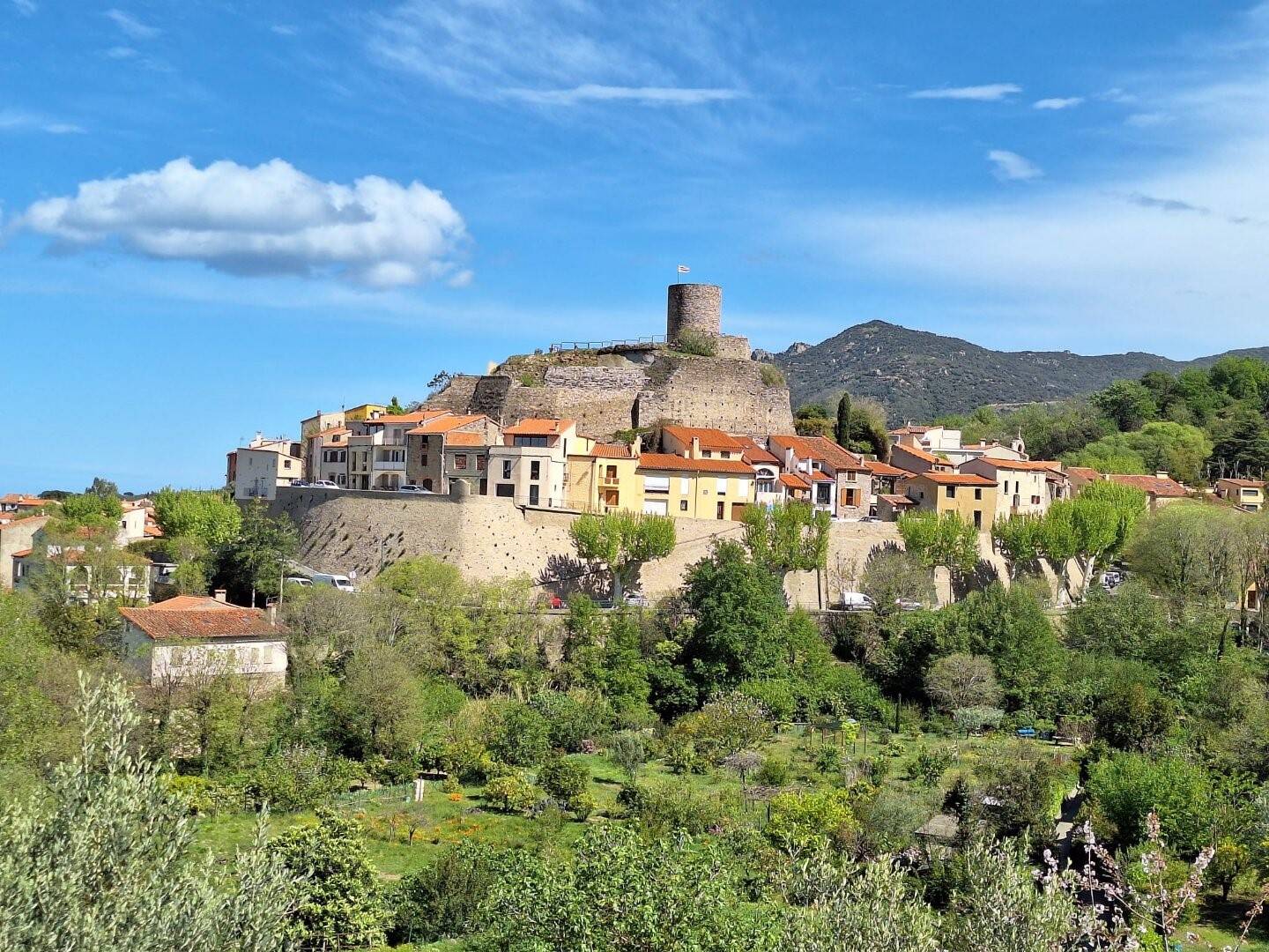 Maison à vendre, 360m², LAROQUE DES ALBERES