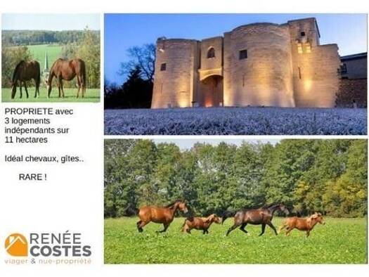 Maison en viager occupé Bouquet 100 400 € 10 pièces 4 chambres 212 m² 118 444 m² de terrain Saires 86420