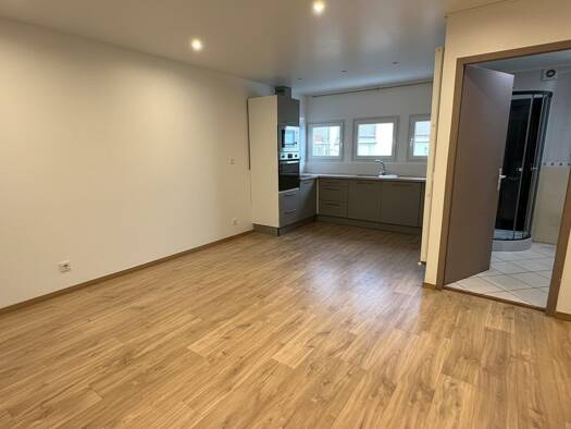 Local commercial à vendre 155 000 € 55 m² de surface de vente Beulet-Ile de France Annemasse 74100
