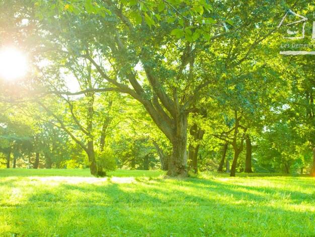 Terrain constructible à vendre 49 000 € 1 728 m² de terrain Ailly-sur-Noye 80250