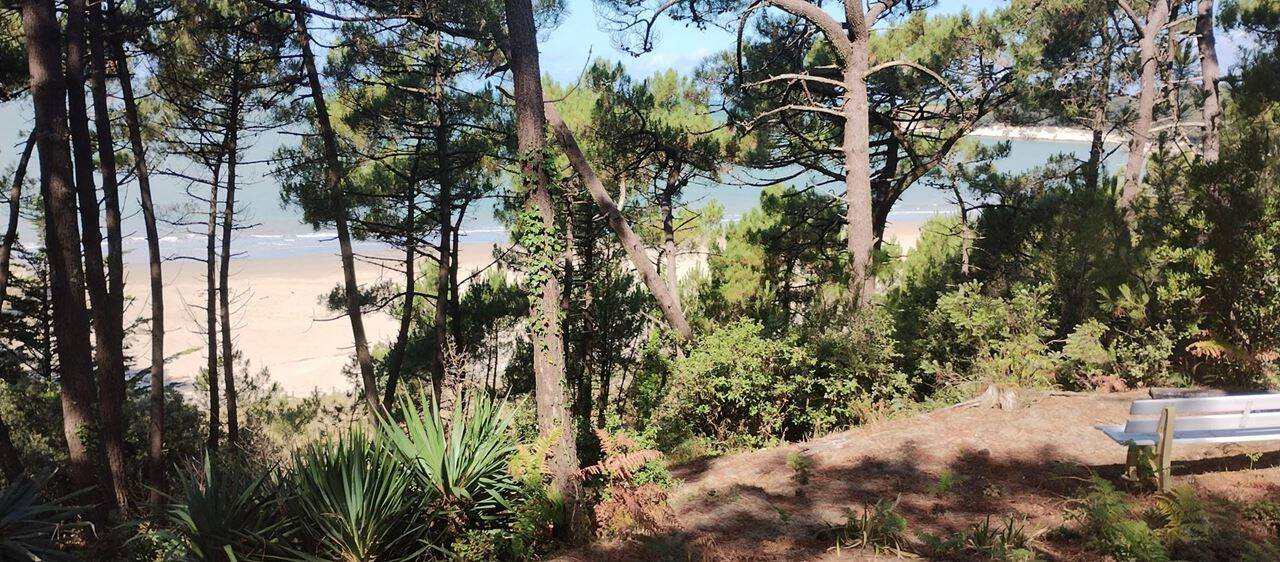 Maison à vendre, 120m², MESCHERS SUR GIRONDE