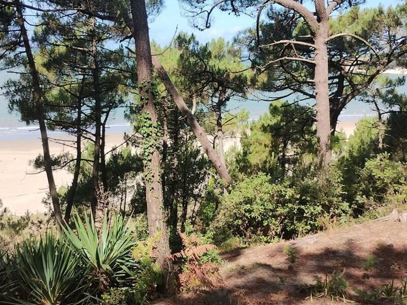Maison à vendre, 120m², MESCHERS SUR GIRONDE