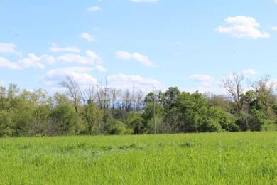 Terrain constructible à vendre 65 000 € 1 170 m² de terrain Saint-Palais 64120