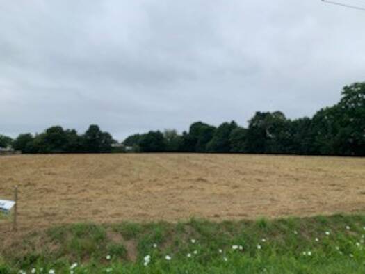 Terrain constructible viabilisé à vendre 54 300 € 371 m² de terrain Romagné 35133