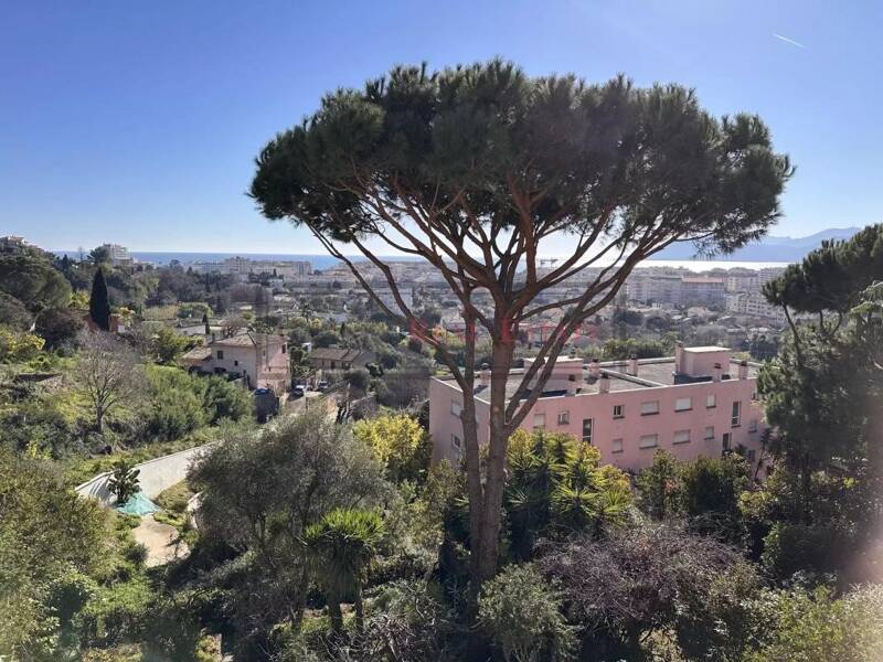 Maison à vendre, 226m², CANNES