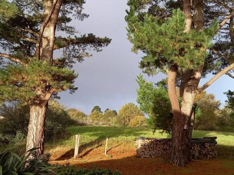 Maison à vendre, 150m², SUCE SUR ERDRE