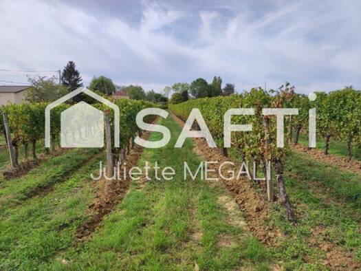 Terrain constructible à vendre 316 000 € 9 963 m² de terrain Rauzan 33420