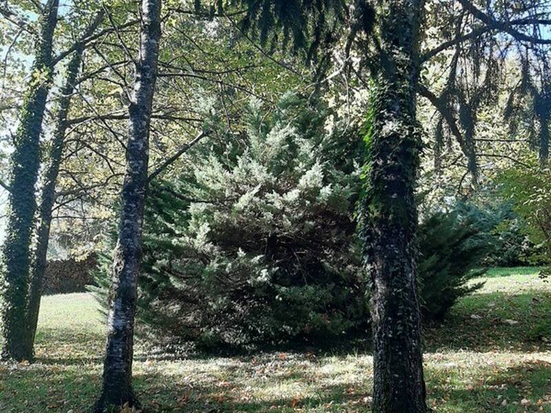 Maison à vendre, 102m², LE VIGEN