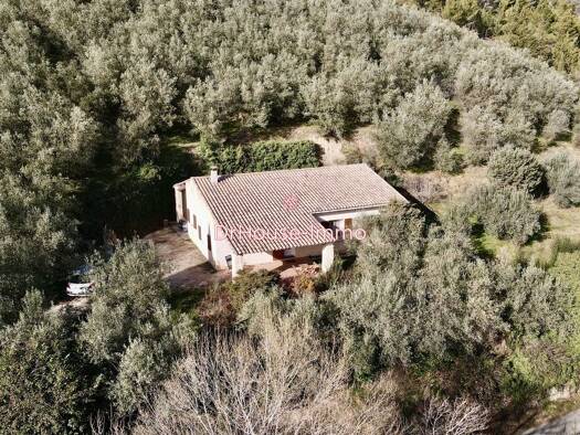 Maison à vendre 329 000 € 3 pièces 2 chambres 78,5 m² 4 800 m² de terrain Buis-les-Baronnies 26170