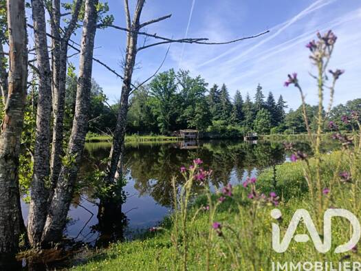 Terrain à vendre 73 000 € 21 677 m² de terrain Champnétery 87400
