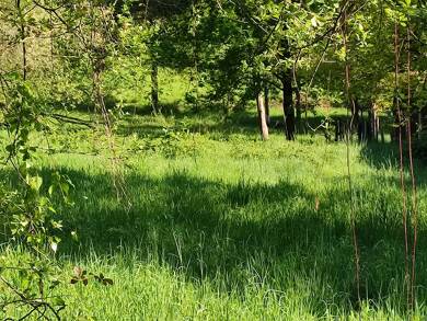 Terrain à vendre 6 000 € 2 378 m² de terrain Burgnac 87800