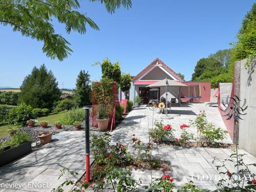 Maison à vendre 1 100 000 € 9 pièces 5 chambres 255 m² 2 500 m² de terrain Est Altkirch 68130