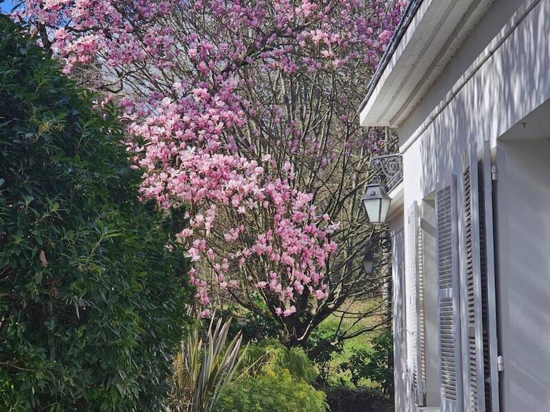 Maison à vendre, 220m², TOURS