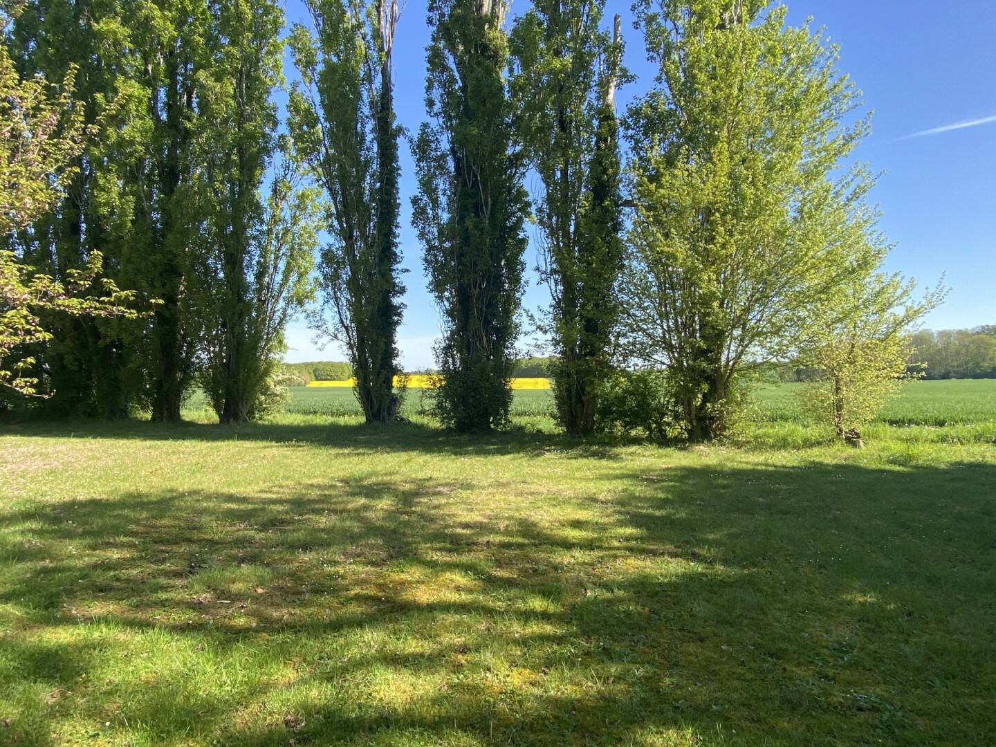 Maison à vendre, 280m², SAINT HILAIRE LES ANDRESIS