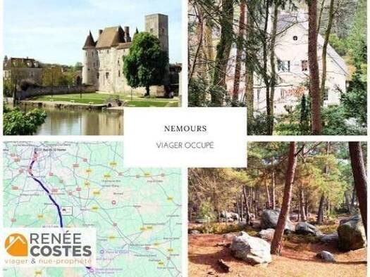 Maison en viager occupé Bouquet 141 930 € 10 pièces 10 chambres 300 m² 6 811 m² de terrain Forêt de Fontainebleau Fontainebleau 77300