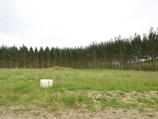 Terrain constructible à vendre 36 263 € 1 133 m² de terrain Bats 40320