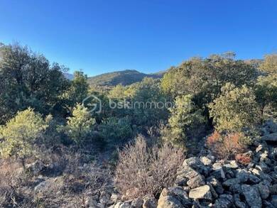 Terrain à vendre 8 600 € 6 500 m² de terrain Catllar 66500
