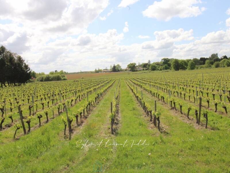 Maison à vendre, 166m², MARANSIN