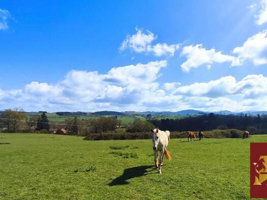 Maison à vendre 279 000 € 5 pièces 3 chambres 113 m² 65 805 m² de terrain Lapalisse 03120