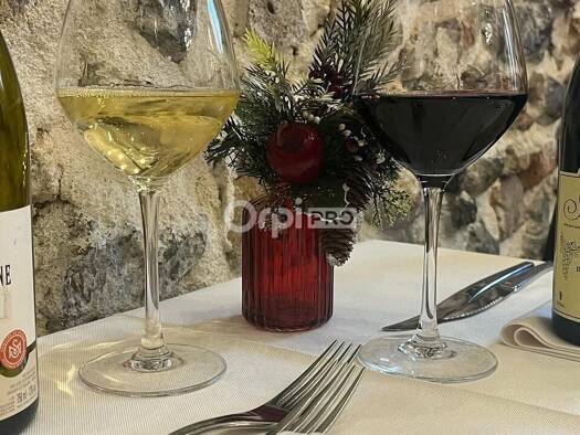 Restaurant à vendre Fonds de commerce 1 000 000 € 250 m² d'espace de restauration Grenoble 38000