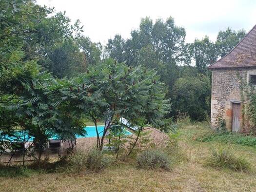 Ferme à vendre 541 000 € 6 pièces 4 chambres 151 m² 120 000 m² de terrain Plazac 24580