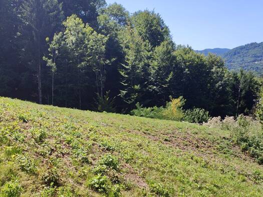 Terrain constructible viabilisé à vendre 77 000 € 1 563 m² de terrain Russ 67130