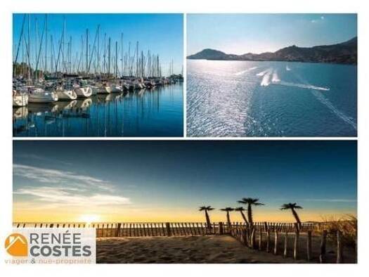 Maison en viager occupé Bouquet 99 025 € 3 pièces 2 chambres 108 m² 643 m² de terrain Peripherie Saint-Cyprien 66750