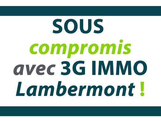 Maison à vendre 579 000 € 1 pièce 6 chambres 156 m² 1 050 m² de terrain Cosnes-et-Romain 54400