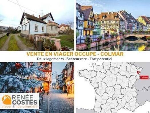 Maison en viager occupé Bouquet 80 375 € 5 pièces 4 chambres 240 m² 637 m² de terrain Saint Antoine-Ladhof Colmar 68000