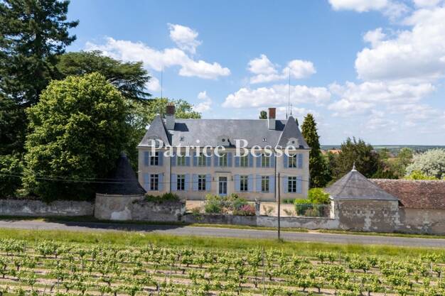 Château à vendre 1 650 000 € 15 pièces 12 chambres 760 m² 16 089 m² de terrain Montrichard 41400