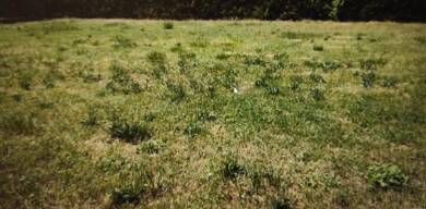 Terrain constructible à vendre 75 000 € 680 m² de terrain Le Thuit 27700