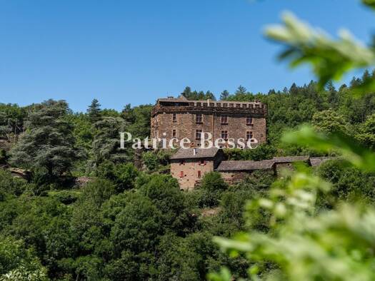Château à vendre 765 000 € 15 pièces 10 chambres 402 m² 138 948 m² de terrain Florac Trois Rivières 48400