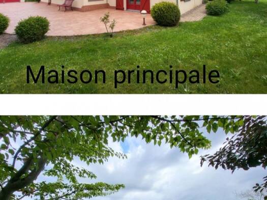 Maison à vendre 299 000 € 4 pièces 3 chambres 98 m² 6 112 m² de terrain Nibelle 45340