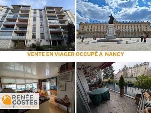 Appartement en viager occupé Bouquet 48 050 € 5 pièces 2 chambres 86 m² Étage 1/6 Nancy 54000