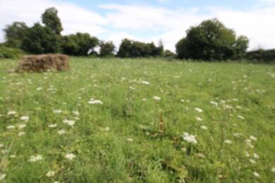 Terrain constructible à vendre 42 090 € 526 m² de terrain Nord Divion 62460