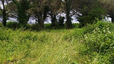 Terrain constructible à vendre 73 150 € 950 m² de terrain Saint-Maixant 33490