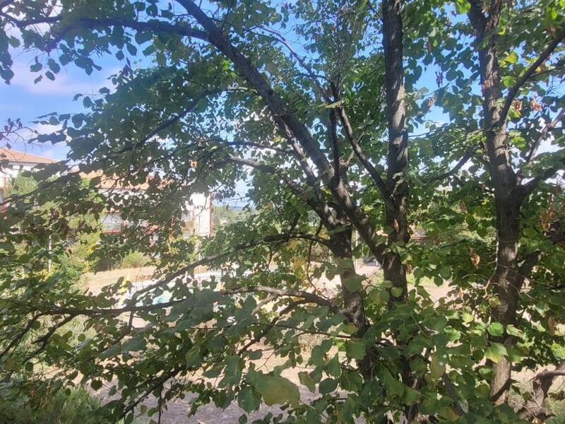 Maison à vendre, 21m², GRABELS