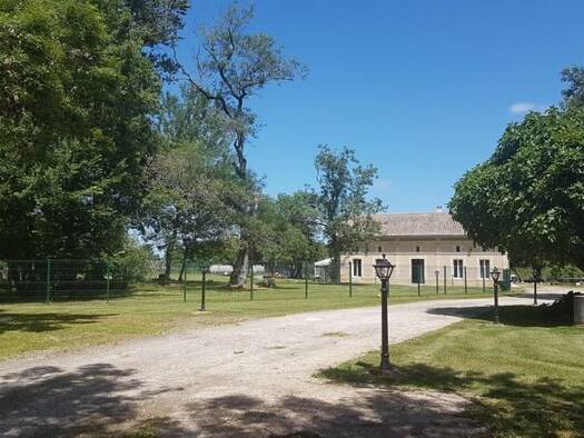 Maison à vendre 885 000 € 12 pièces 7 chambres 455 m² 13 200 m² de terrain Saint-Christoly-de-Blaye 33920