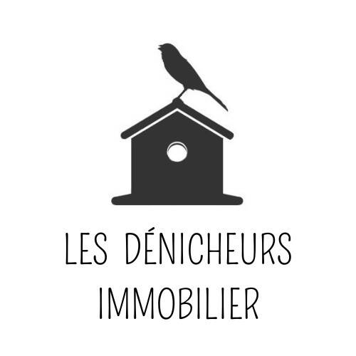 LES DENICHEURS IMMOBILIER