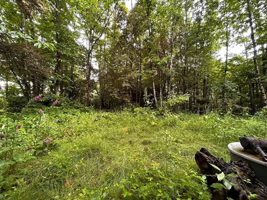 Terrain constructible à vendre 25 000 € 2 352 m² de terrain Ladignac le Long 87500