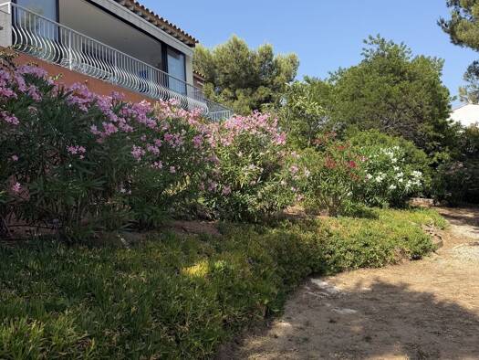 Maison à vendre 1 249 000 € 8 pièces 5 chambres 240 m² 1 300 m² de terrain Sud Ouest Bandol 83150