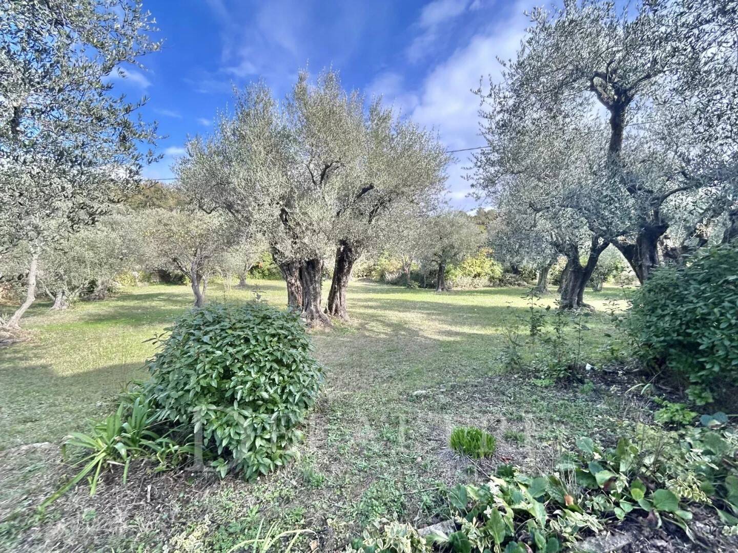 Maison à vendre, 235m², CHATEAUNEUF DE GRASSE