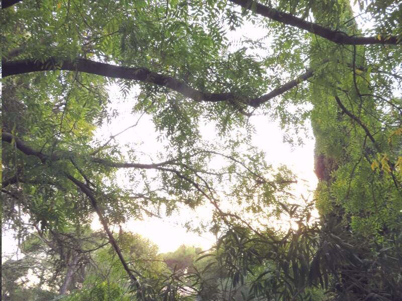 Maison à louer, 23m², NIMES