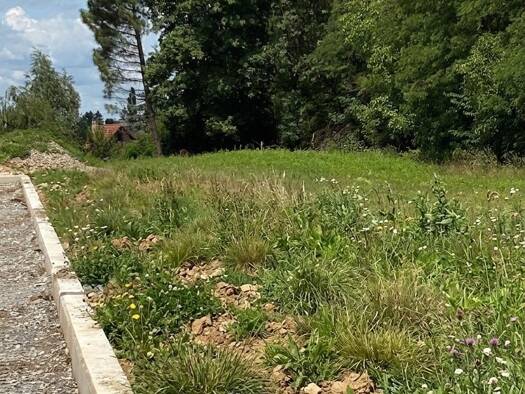 Terrain constructible viabilisé à vendre 214 500 € 550 m² de terrain Pfulgriesheim 67370