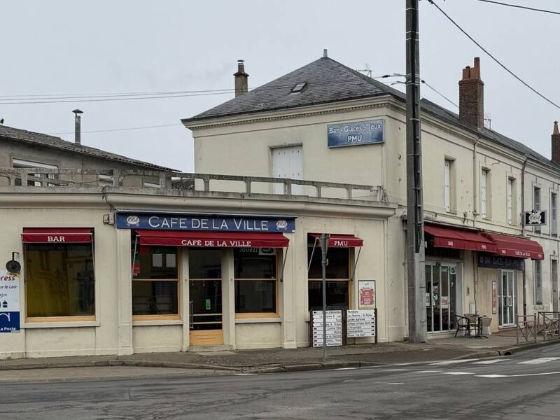 Maison à vendre, 243m², MONTOIRE SUR LE LOIR