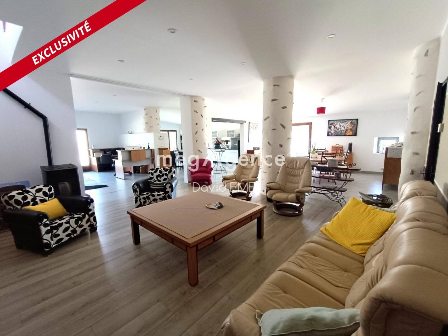 Maison à vendre, 360m², CHALLANS