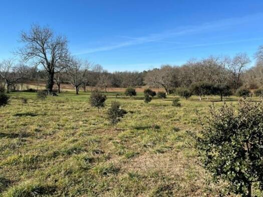 Terrain constructible à vendre 25 000 € 3 600 m² de terrain Excideuil 24160