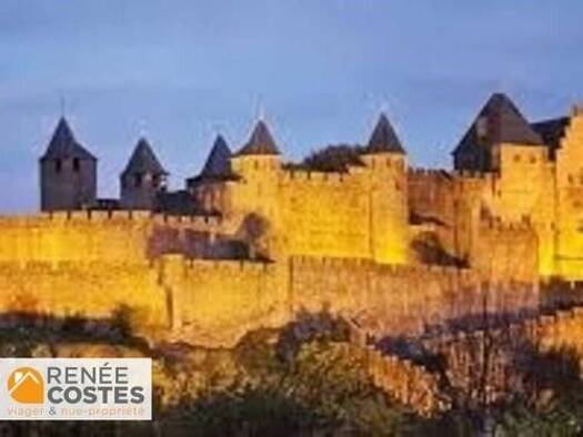 Maison en viager occupé Bouquet 75 500 € 4 pièces 3 chambres 135 m² 1 000 m² de terrain Palaja 11570