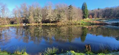 Terrain constructible à vendre 89 900 € 38 398 m² de terrain Saint-Laurent-sur-Gorre 87310